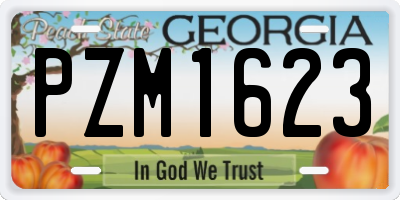 GA license plate PZM1623
