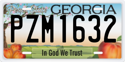 GA license plate PZM1632