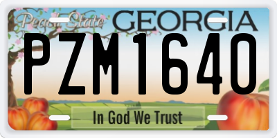 GA license plate PZM1640