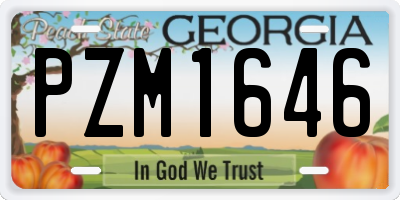 GA license plate PZM1646