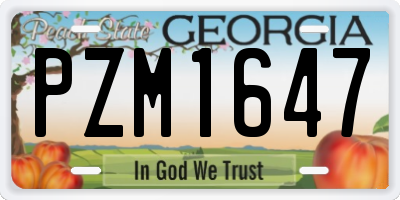 GA license plate PZM1647