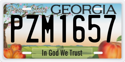 GA license plate PZM1657