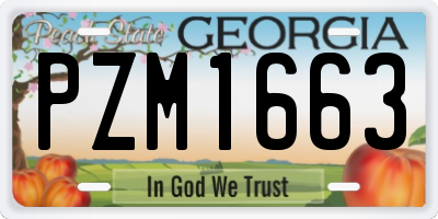 GA license plate PZM1663