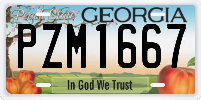 GA license plate PZM1667