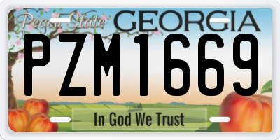 GA license plate PZM1669