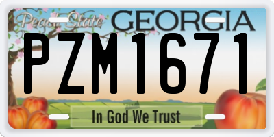 GA license plate PZM1671