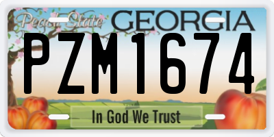 GA license plate PZM1674