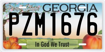 GA license plate PZM1676