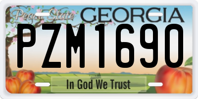GA license plate PZM1690