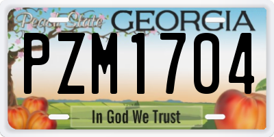 GA license plate PZM1704