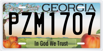 GA license plate PZM1707