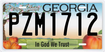 GA license plate PZM1712