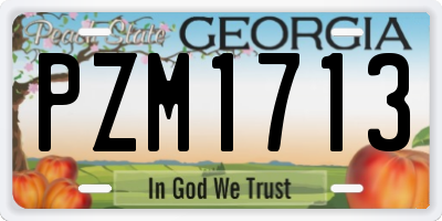 GA license plate PZM1713