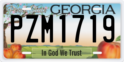 GA license plate PZM1719