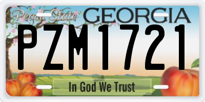 GA license plate PZM1721