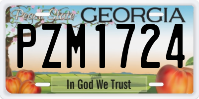 GA license plate PZM1724