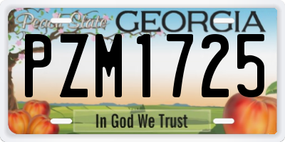 GA license plate PZM1725