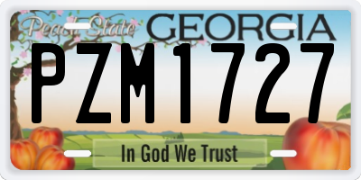 GA license plate PZM1727