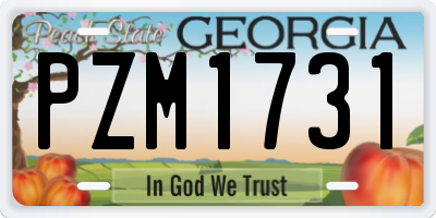 GA license plate PZM1731
