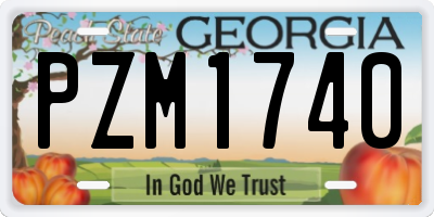 GA license plate PZM1740