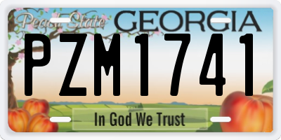 GA license plate PZM1741