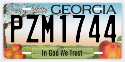 GA license plate PZM1744