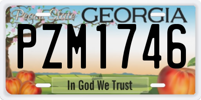 GA license plate PZM1746