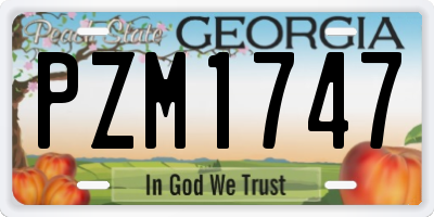GA license plate PZM1747