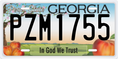 GA license plate PZM1755