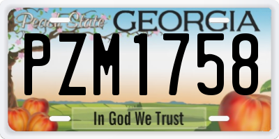 GA license plate PZM1758