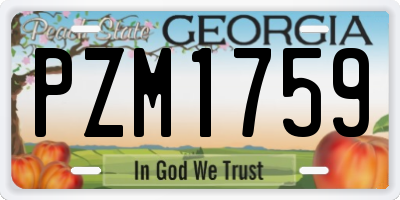 GA license plate PZM1759
