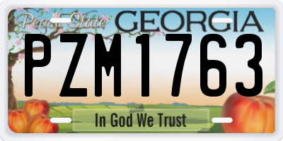 GA license plate PZM1763