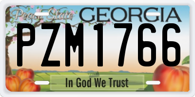 GA license plate PZM1766