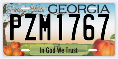GA license plate PZM1767