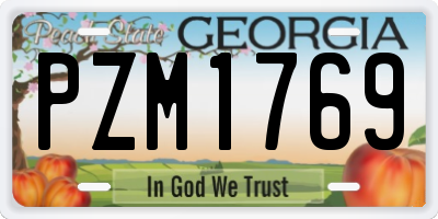 GA license plate PZM1769
