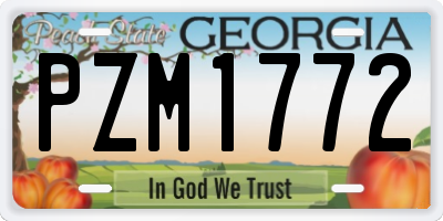 GA license plate PZM1772