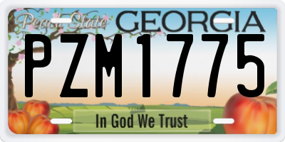 GA license plate PZM1775