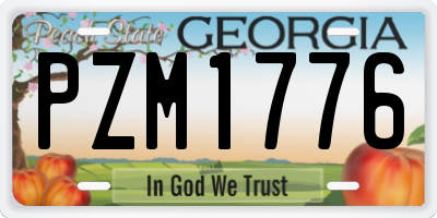 GA license plate PZM1776