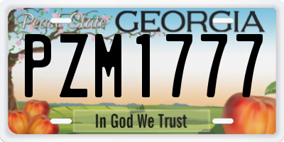 GA license plate PZM1777