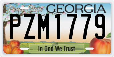 GA license plate PZM1779