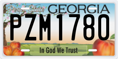 GA license plate PZM1780