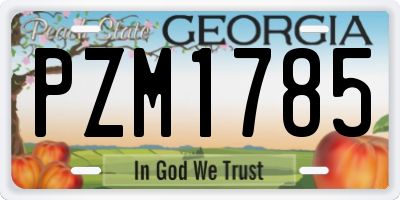 GA license plate PZM1785