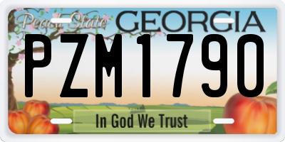 GA license plate PZM1790