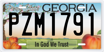 GA license plate PZM1791