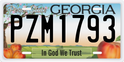 GA license plate PZM1793