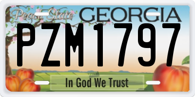 GA license plate PZM1797