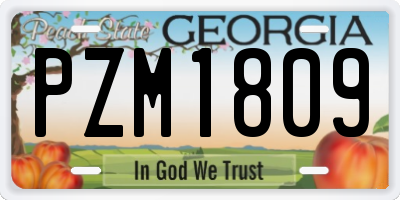 GA license plate PZM1809