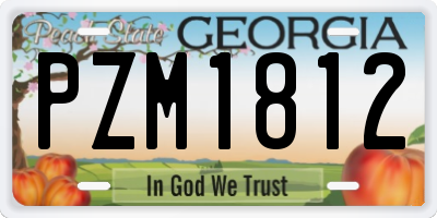 GA license plate PZM1812