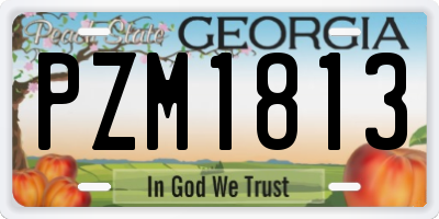 GA license plate PZM1813
