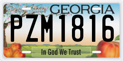GA license plate PZM1816